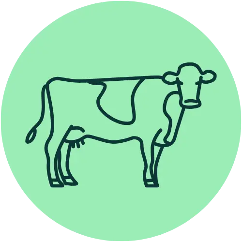 Rancher icon